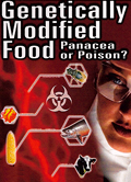 Geneticallymodifiedfood.jpg