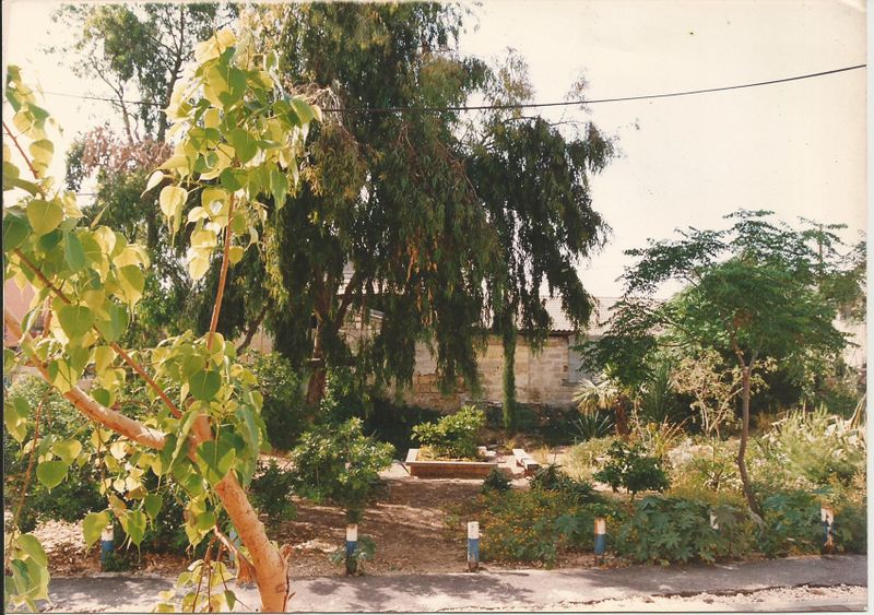קובץ:גינה קהילתית נווה צדק.jpg