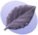 P Leaf.png