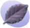 P Leaf.png