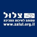 תמונה ממוזערת לגרסה מ־13:15, 4 בדצמבר 2012