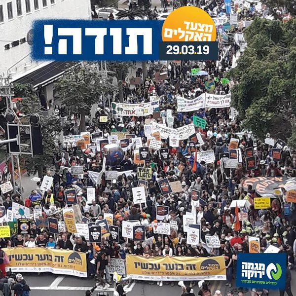 קובץ:55807354 10156140176162283 7363681322587389952 n.jpg
