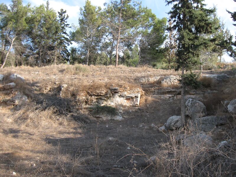 קובץ:Roshhaajin007 0.jpg